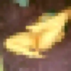 Photo sexy de Berenice, 30 ans à Quéven - rencontre coquine