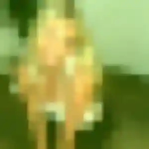rencontre cougar à Quéven : photo de Sonia, 25 ans - accès libre
