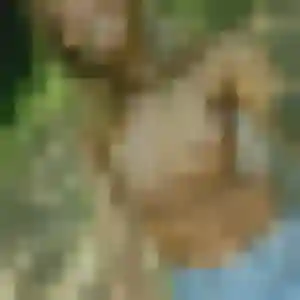 Sexy Kim, 33 ans à Quimper - la contacter