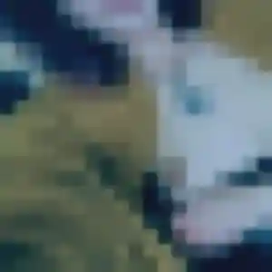 Contacte Sabine, 29 ans à Rilhac-Rancon en t'inscrivant