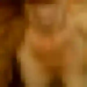 Ambre (28 ans) à Romilly-sur-Andelle cherche une rencontre aujourd'hui