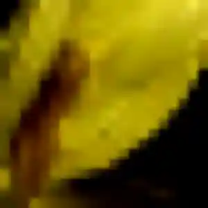 Photo privée de Azalee, 37 ans à Romilly-sur-Andelle - plan discret
