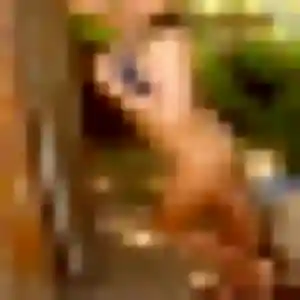 Photo sexy de Natasha, 36 ans à Romilly-sur-Andelle - rencontre sans lendemain