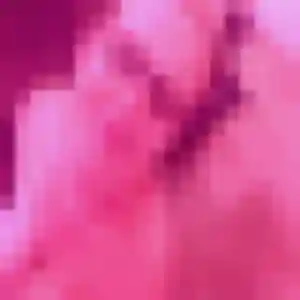 Photo privée de Monique, 27 ans à Saint-Chéron - rencontre coquine