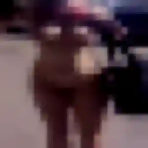 Photo de Domitille à Saint-Gervais-la-Forêt (40 ans) - rencontre cougar gratuit