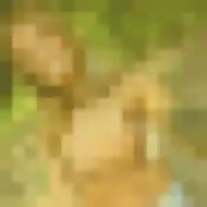 Ghislaine, fille de 29 ans cherche rencontre cougar à Saint-Maur-des-Fossés