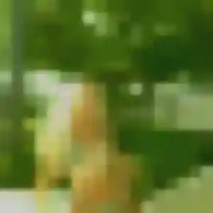 Emmanuelle (44 ans) à Saint-Méloir-des-Ondes cherche un rencontre cougar rapidement