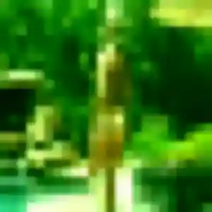 Anne-Charlotte de Saint-Philbert-de-Grand-Lieu, 33 ans - rencontre cougar sans lendemain