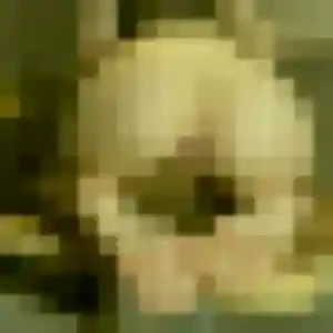 Photo exclusive de Lamia, 42 ans à Sainte-Luce-sur-Loire - rencontre coquine