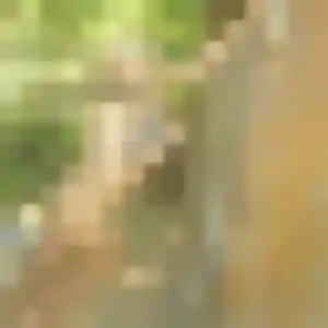 Sexy Blanche, 36 ans à Séné - voir sa photo