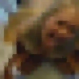 Charmante Sophie, 27 ans à Terrasson-Lavilledieu - voir sa photo
