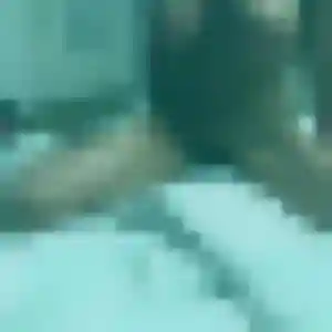 Belle Francine, 24 ans à Valdallière - la contacter