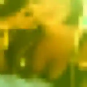 Aurore, femme de 27 ans propose rencontre cougar à Veuzain-sur-Loire