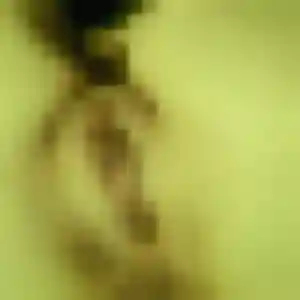 Lamia, 26 ans, en ligne à Viry-Châtillon pour une rencontre coquine